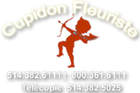Cupidon fleuriste florist 514.382.6111   800.361.6111